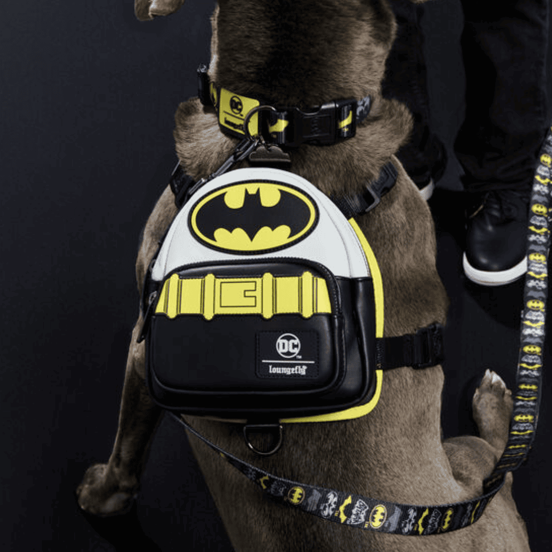 DC Comics for Dogs Batman Harnais pour Chien Motif Super-héros Gris
